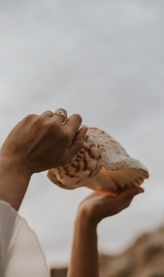 Estrategia Web para emprendedoras