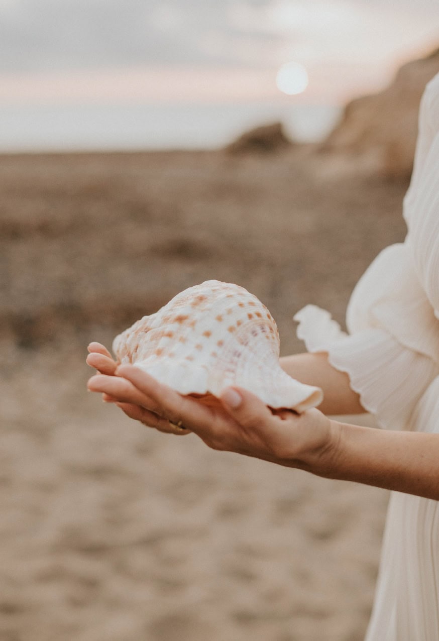 Diseño Web Holístico