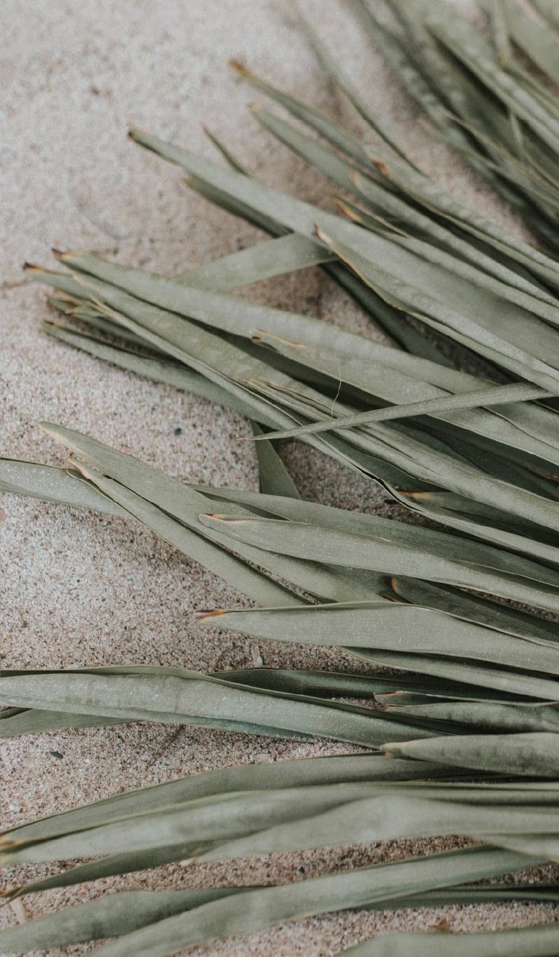 Diseño web en WordPress para mujeres emprendedoras