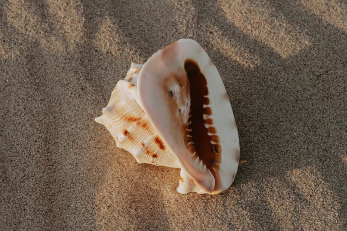 Tu Web Estratégica como espacio de Conexión